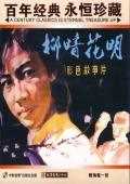 柳暗花明