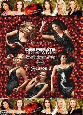 绝望主妇第二季
