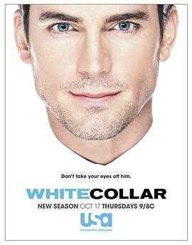 妙警贼探第五季