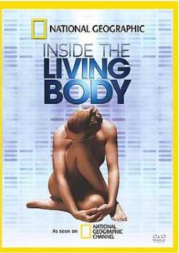人体内旅行