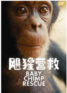 飓猩营救