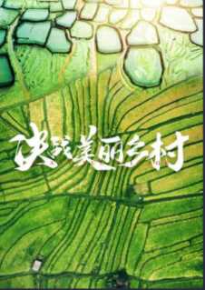 决战美丽乡村