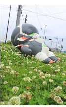 迷你加尔刚蒂亚