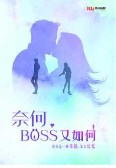 奈何BOSS又如何