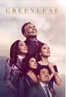 绿叶第五季