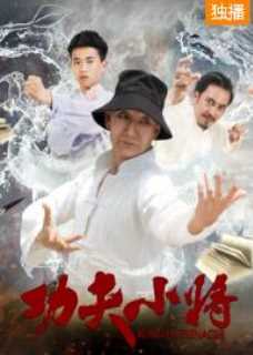 功夫小将