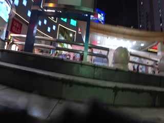 Chinajoy HD.532 展会视频