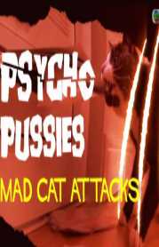 进击的猫咪英语版