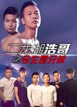 二龙湖浩哥之今生是兄弟