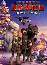 驯龙高手：归家