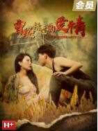 曾经错过的爱情