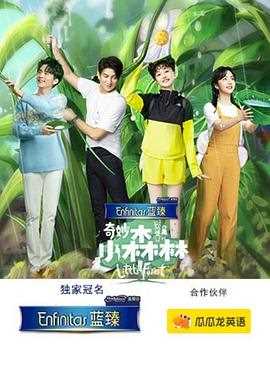 奇妙小森林(会员plus版)