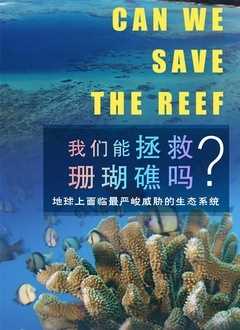 我们能拯救珊瑚礁吗