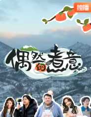 偶然的煮意