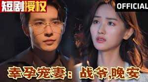 幸孕宠妻：战爷，晚安