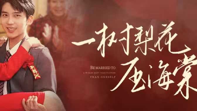 一树梨花压海棠（新：我在八零年代当后妈）