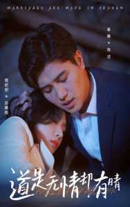 道是无情却有晴