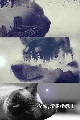 今生，请多指教
