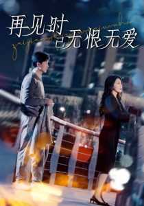 再见时已无恨无爱