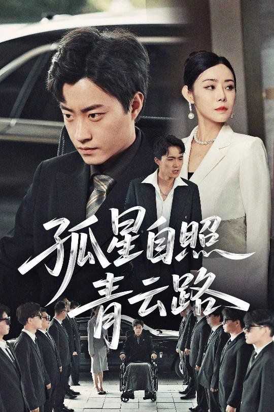 孤星自照青云路