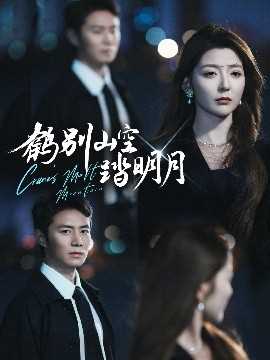 鹤别山空踏明月