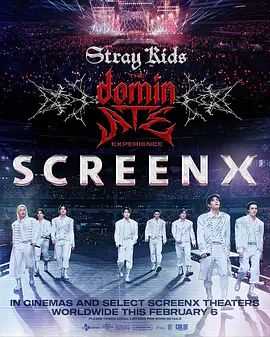 Stray Kids：主宰一切的体验